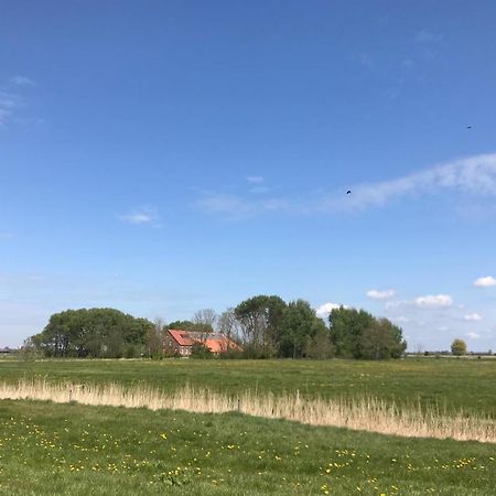 Ferienhof Spiegelhaus Krummhörn Exteriér fotografie