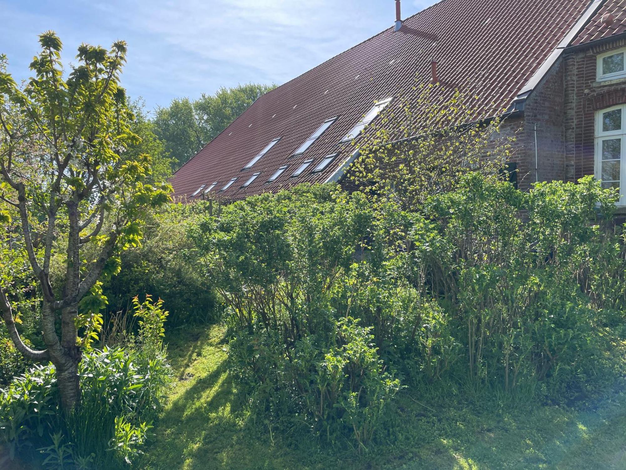 Ferienhof Spiegelhaus Krummhörn Exteriér fotografie