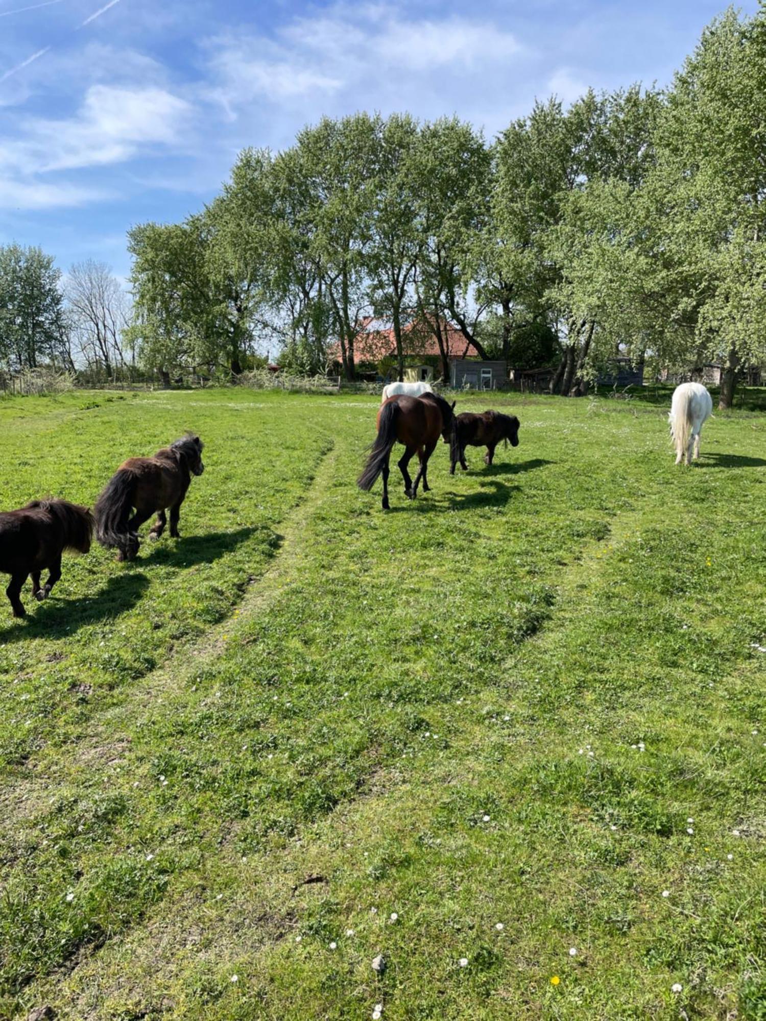 Ferienhof Spiegelhaus Krummhörn Exteriér fotografie