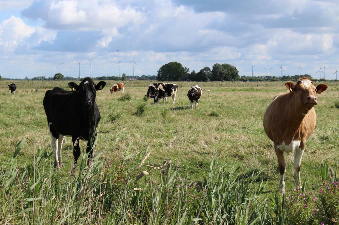 Ferienhof Spiegelhaus Krummhörn Exteriér fotografie